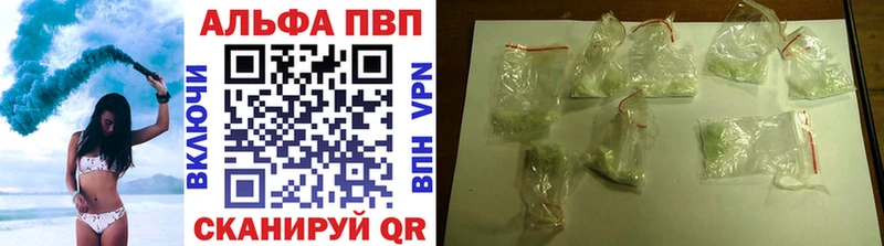 Купить  Шенкурск  A PVP крисы CK 