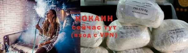 ECSTASY Елизово