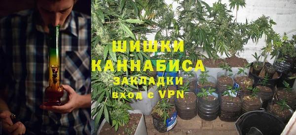 ECSTASY Елизово