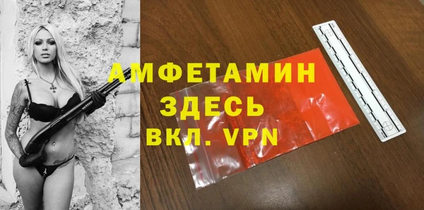 ECSTASY Елизово