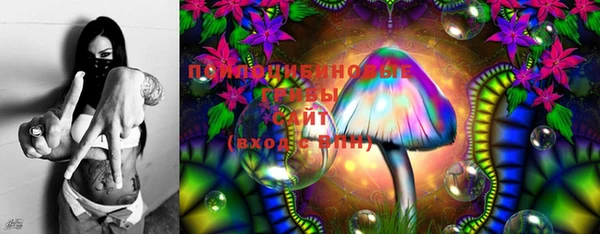 ECSTASY Елизово