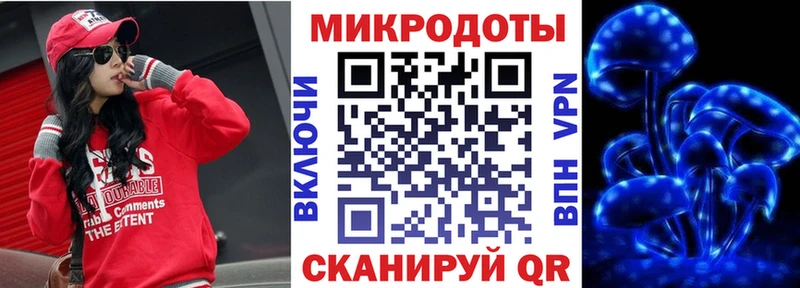 Псилоцибиновые грибы Psilocybe  Купить где  Шенкурск 